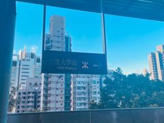 -香港大学