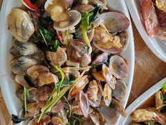 -海胆公主南澳岛美食海鲜