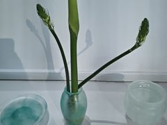 -今日艺术汇书店
