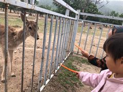 -西安秦岭野生动物园