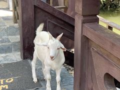 -太阳岛旅游度假区