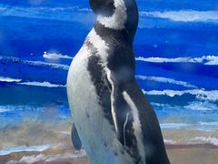 -青岛海底世界-水族馆