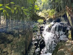 -藏龙百瀑风景区