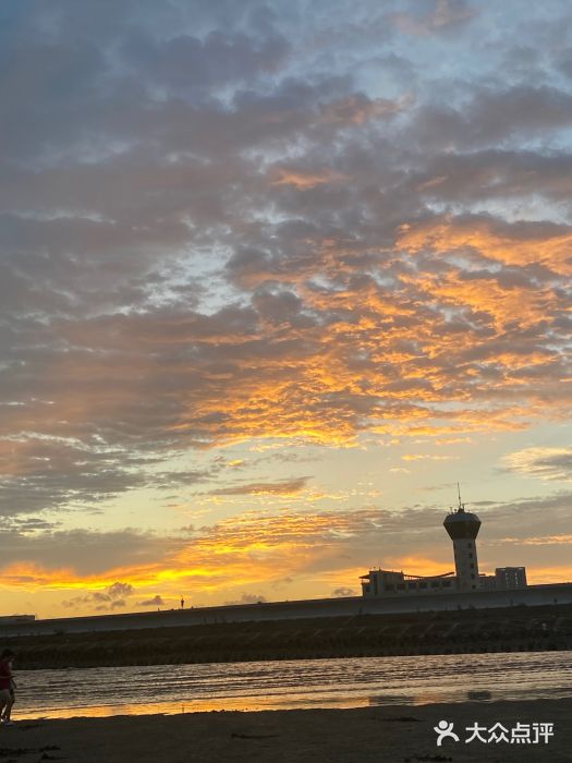 南汇嘴观海公园图片