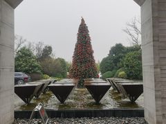 -上海崇明金茂凯悦酒店