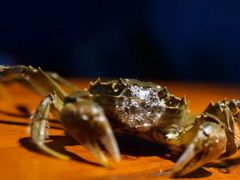 -有位虾匠·香辣蟹·小龙虾(李村店)