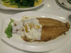 龙利鱼-赛百味(仙林金鹰店)