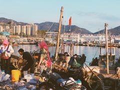 -青岛沙子口国家中心渔港