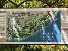-上海吴淞炮台湾国家湿地公园
