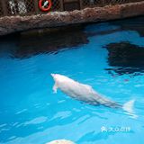 珠海长隆海洋王国 / 绝佳亲子游好去处
