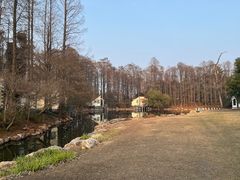 -上海滨江森林公园