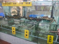 -寻味顺德·南记酒家·传统顺德菜·鱼生(广源路店)