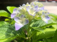 -长春观斋补堂素菜馆