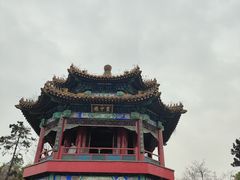 -重庆园博园