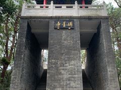 -青龙山国家森林公园