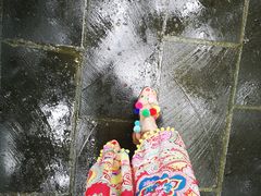 -瑞丽独树成林风景区