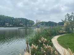 -葛仙湖公园