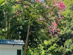 -火炉山森林公园