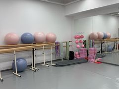 -中央芭蕾舞团·中芭艺蕾(酒仙桥明星校区)