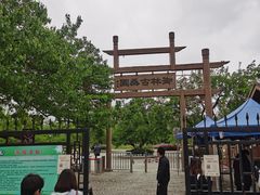 -御林古桑园