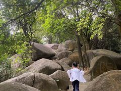 -火炉山森林公园