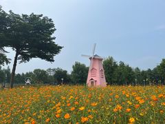 -顺峰山公园