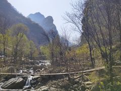 -少华山国家森林公园