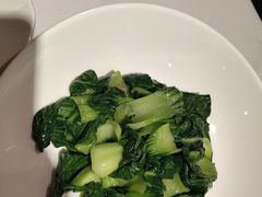 -席家花园(巨鹿花园店)