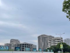 -碧海金沙