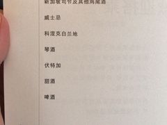 -新加坡航空公司(ION)