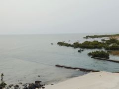 -北海金海湾红树林生态旅游区