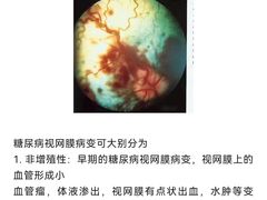 -瑞派申生动物医院·24H夜诊·国际动物医疗中心·骨外科(吴中路店)