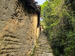 -杨家堂村