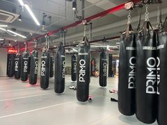 -花环泰拳·勒德斯拉泰拳馆(静安店)