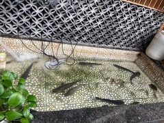 -61号餐吧(兴坪古镇漓江店)