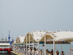 -海驴岛(荣成市)