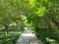 -蠡湖大桥公园
