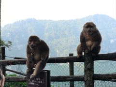-峨眉山风景名胜区