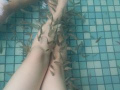 -咸宁万豪温泉谷度假区