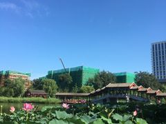 -西海子公园