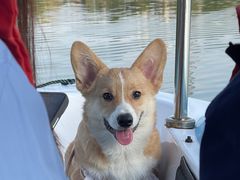 -昆山城市生态森林公园