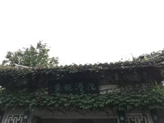 -西湖外事游船(花港观鱼码头)