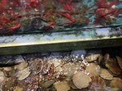-旺富东海大酒楼(海鲜街店)