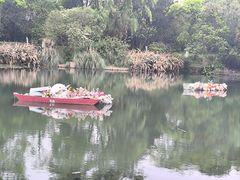 -花溪公园