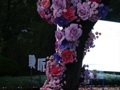 -云溪植物园