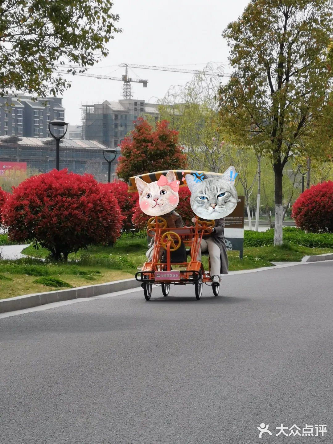 带娃去散步！