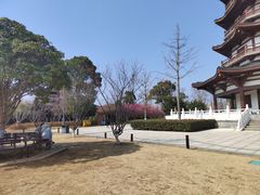 -洋湖国家湿地公园
