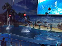 -福州罗源湾海洋世界旅游区