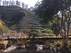 -心无尘茶餐馆(径山村店)