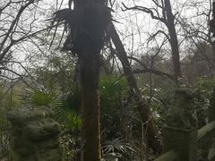 -敬亭山风景名胜区